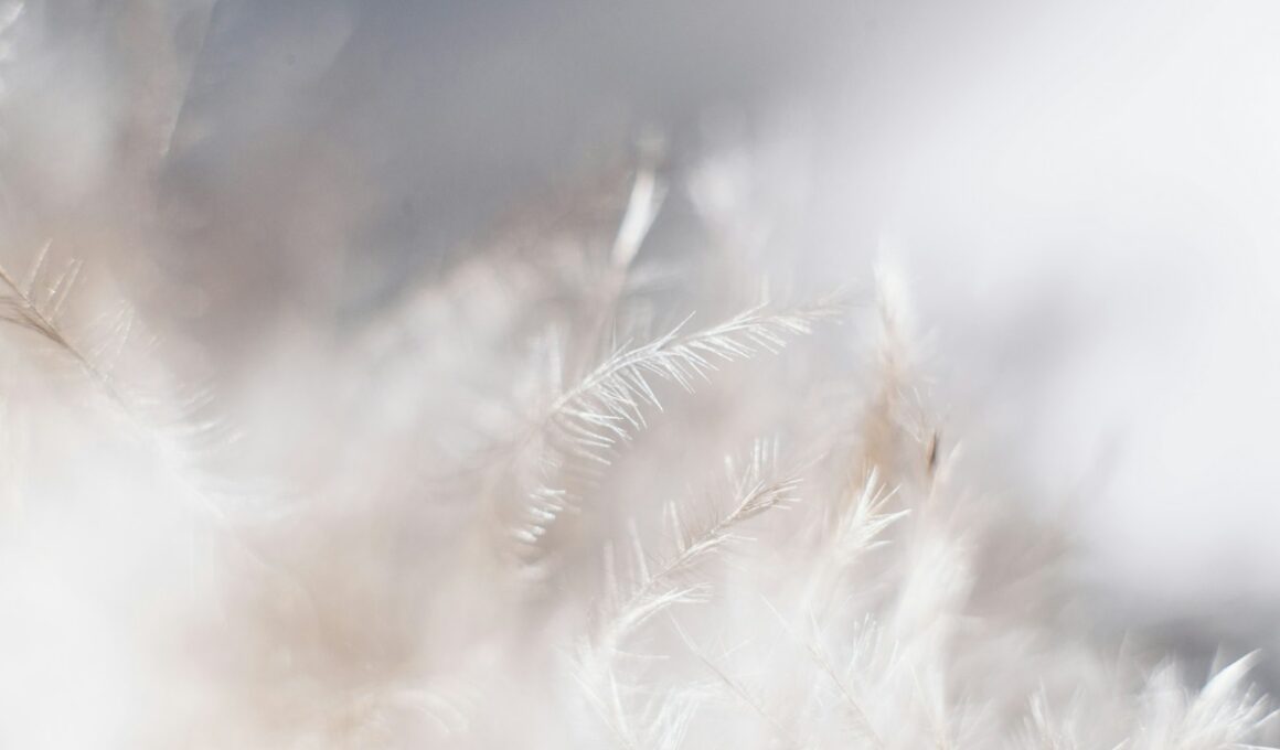 closeup photo of white leaves