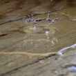 Waterschade in een gebouw